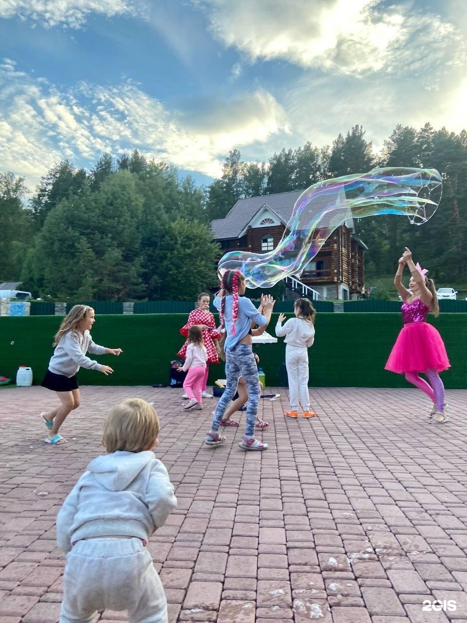 Малина - фото 69