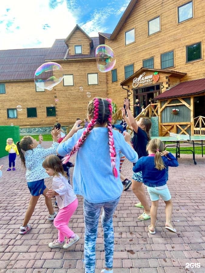 Малина - фото 77