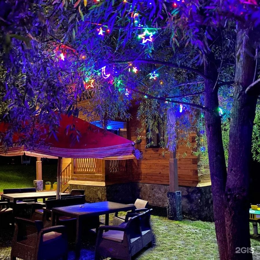 Малина - фото 79