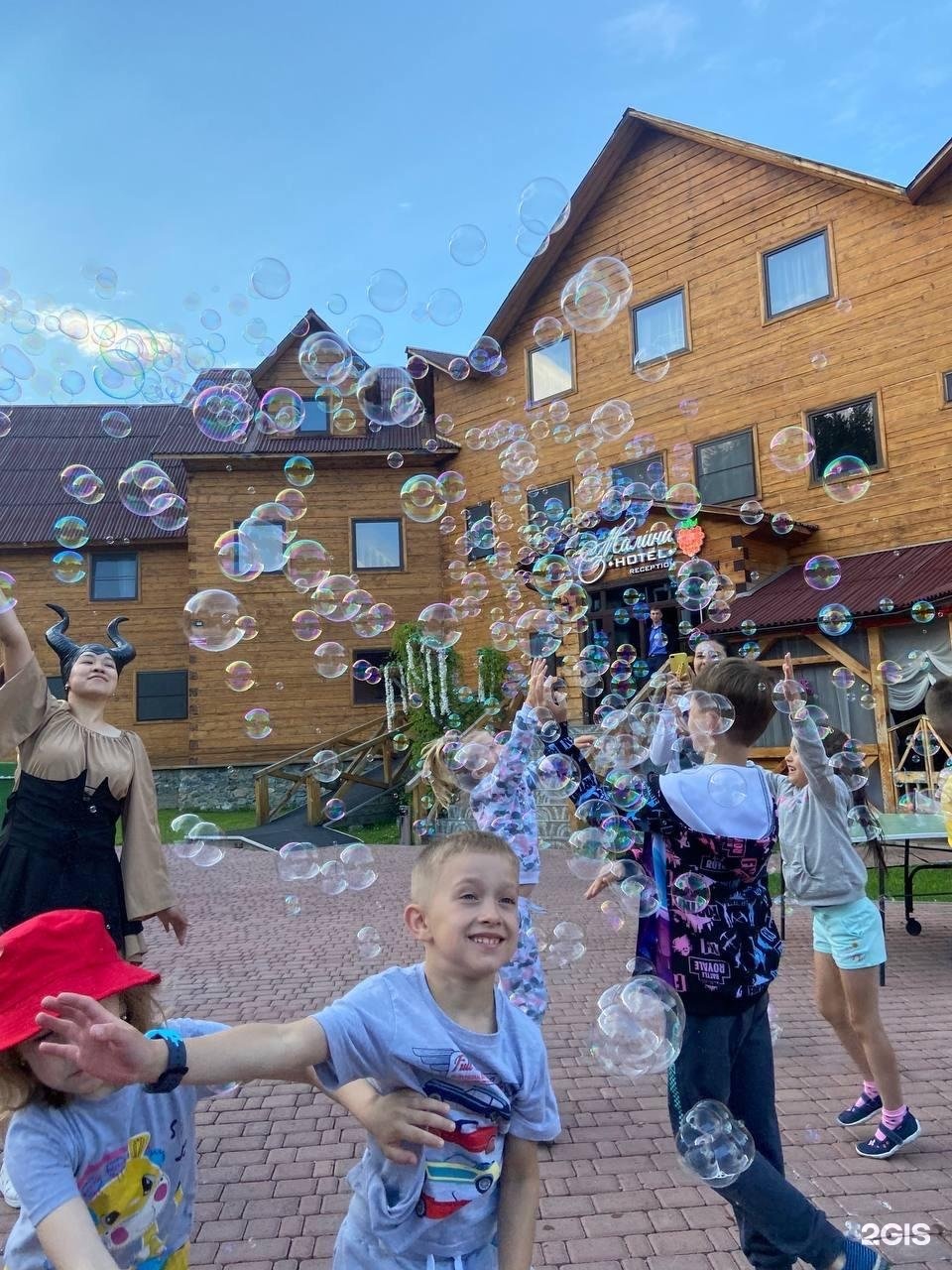 Малина - фото 81