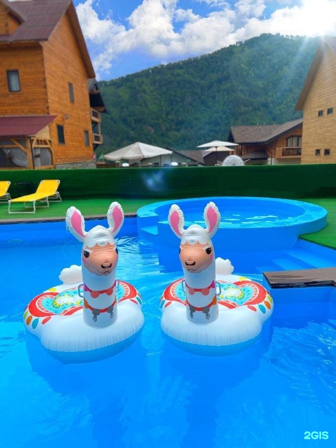 Малина - фото 82