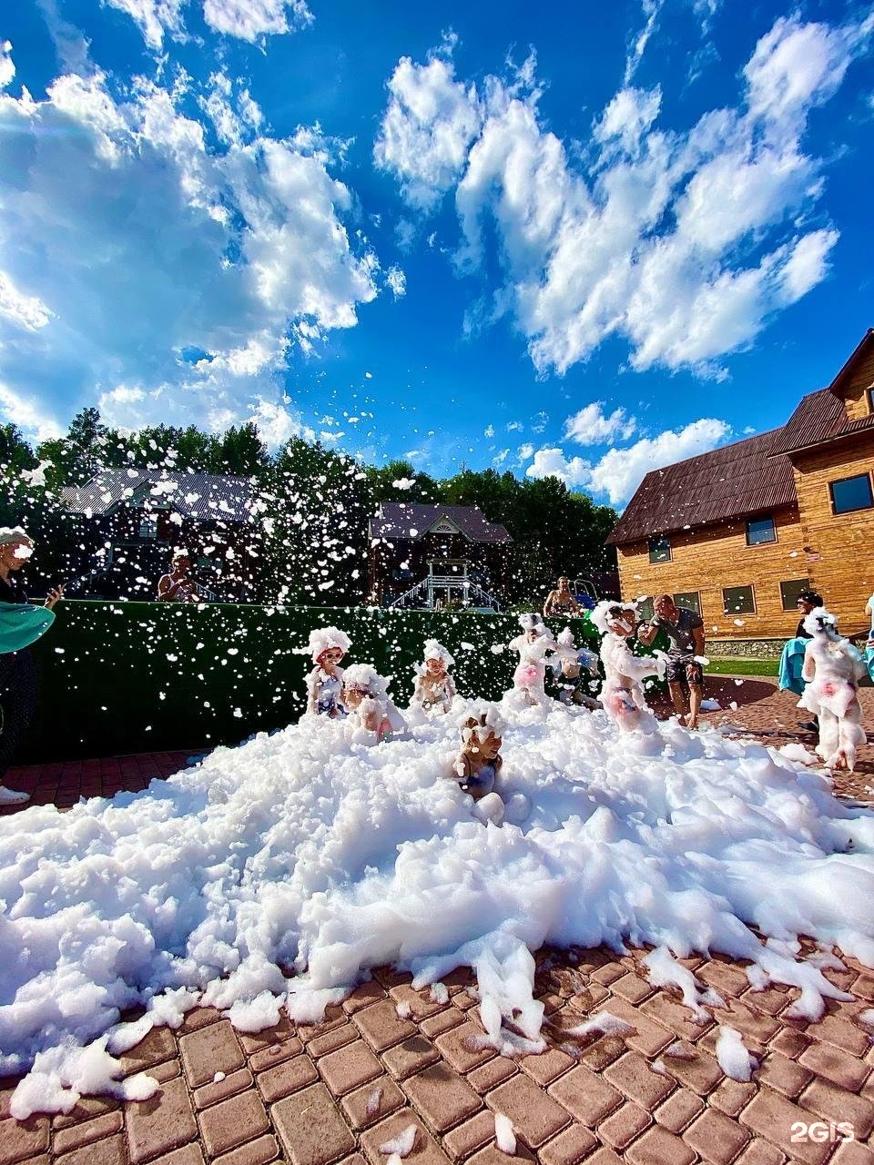 Малина - фото 96