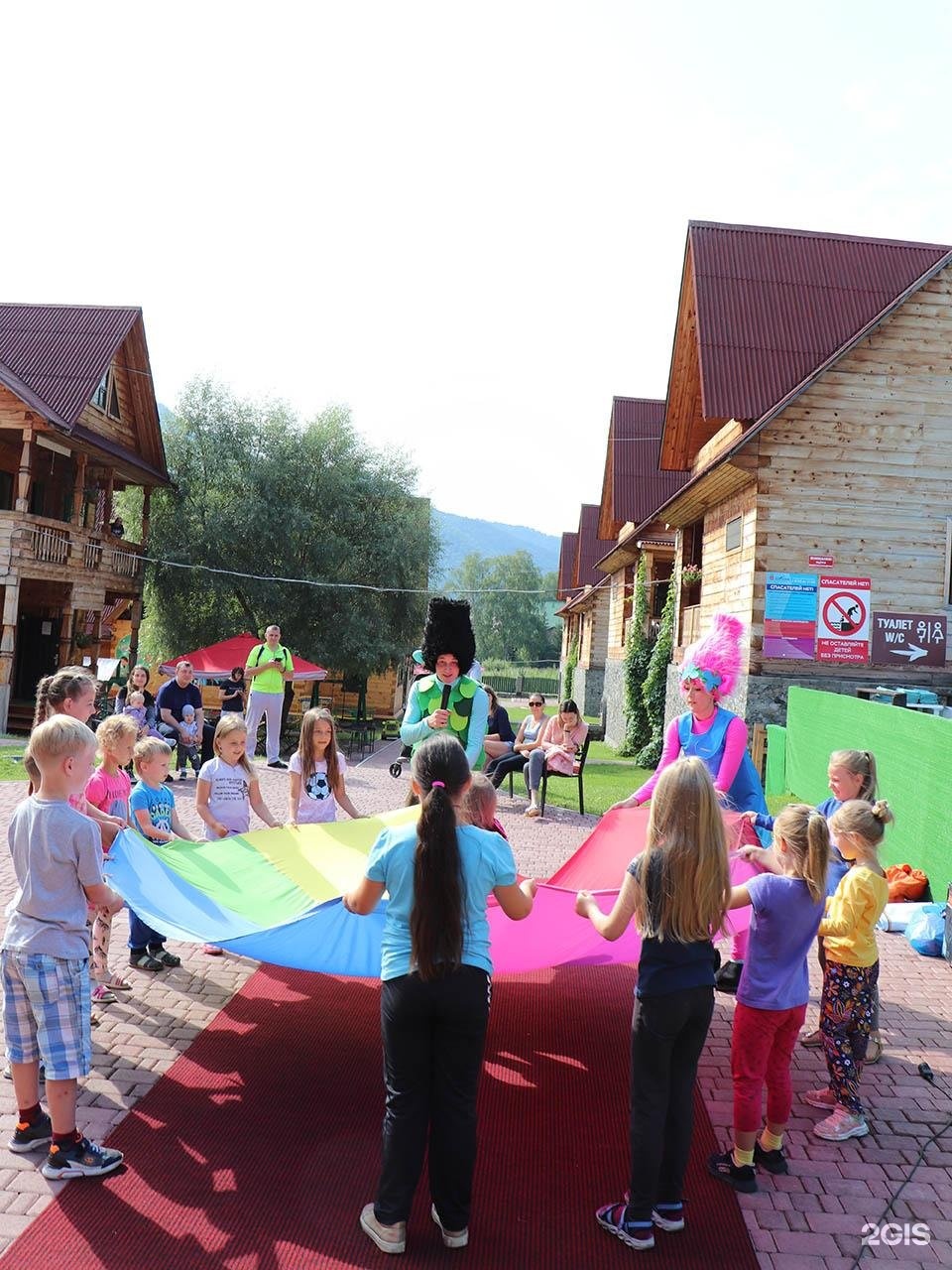 Малина - фото 107