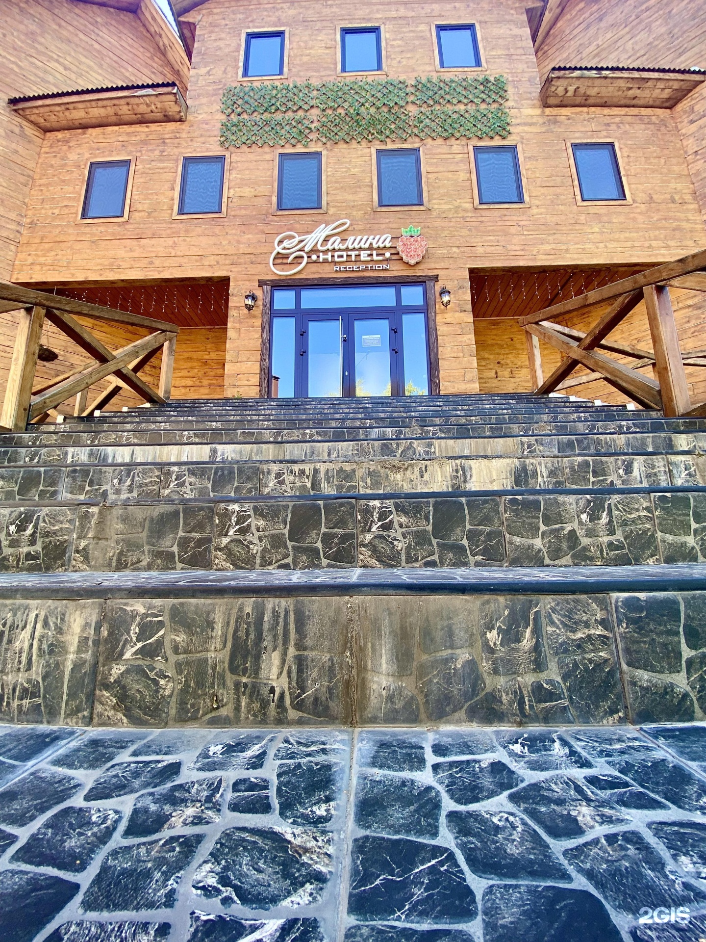 Малина - фото 110