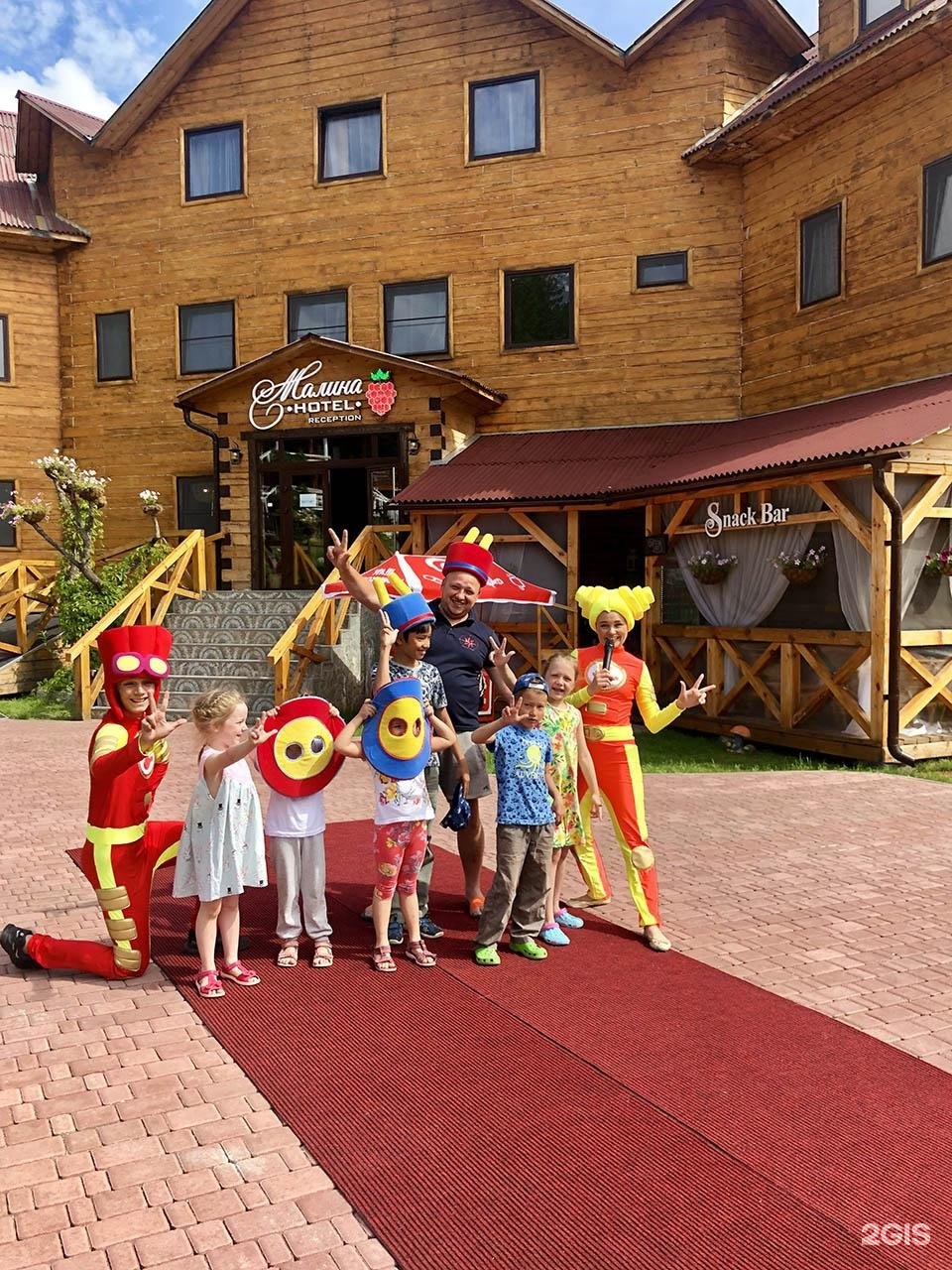 Малина - фото 120