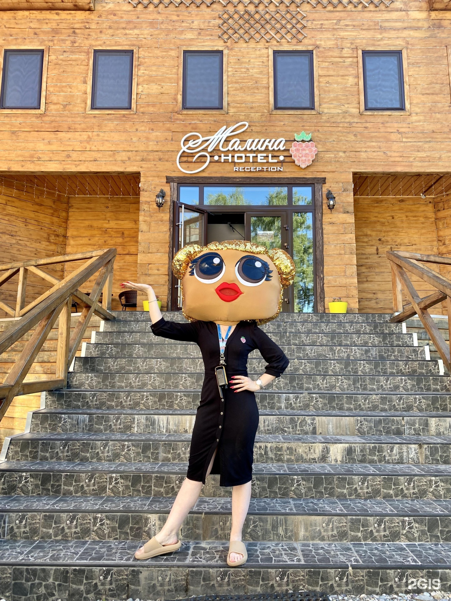 Малина - фото 123