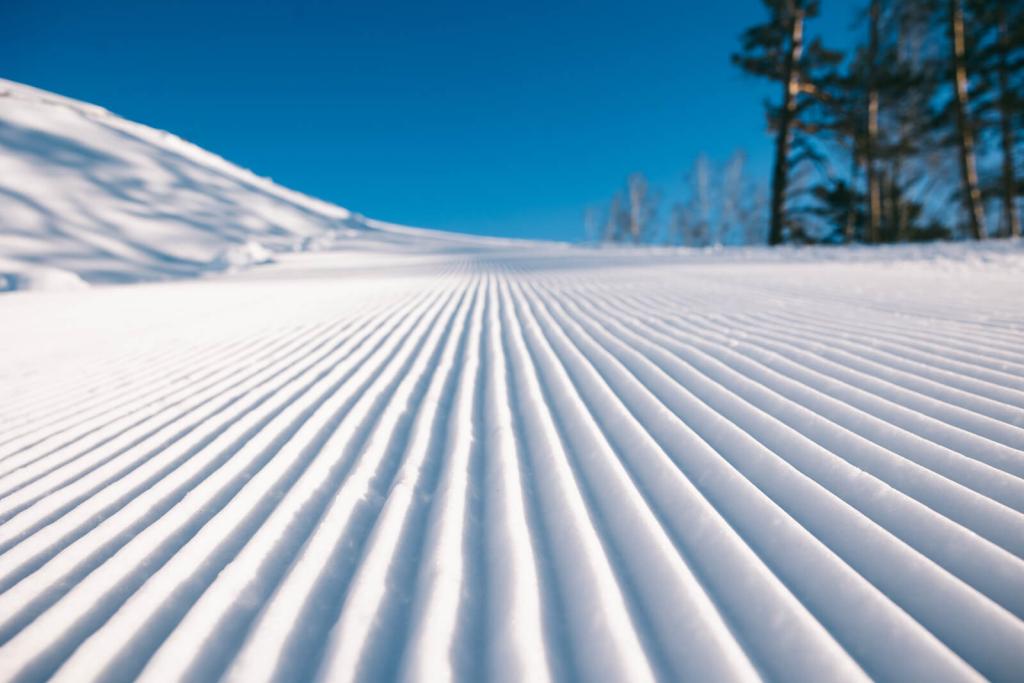 Курорт Манжерок увеличил зону катания до 81 км в зимнем сезоне 2026 - фото 6