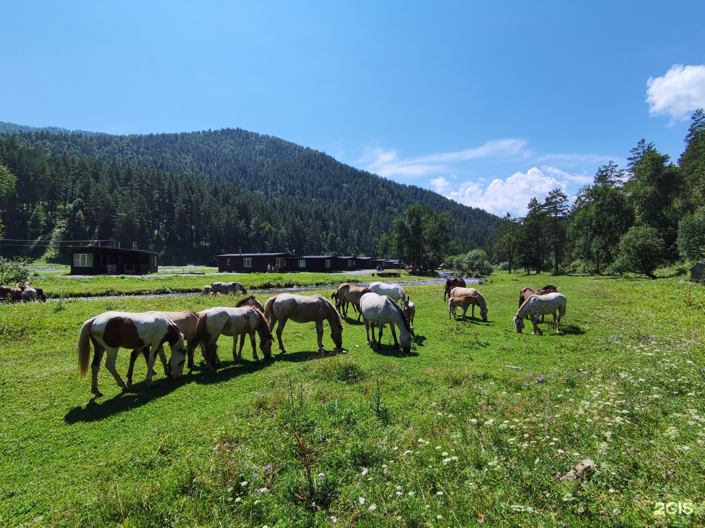 Айбарка - фото 15