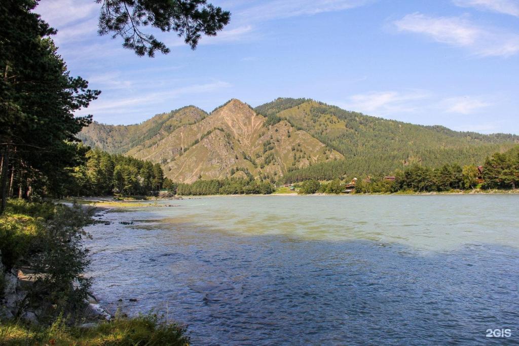 Сибиряки - фото 4