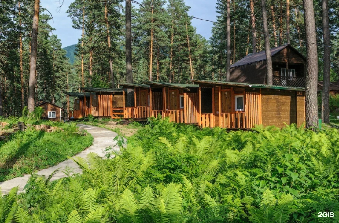 Сибиряки - фото 18