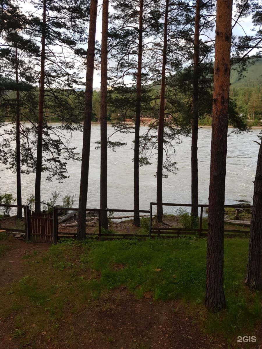 Сибиряки - фото 20