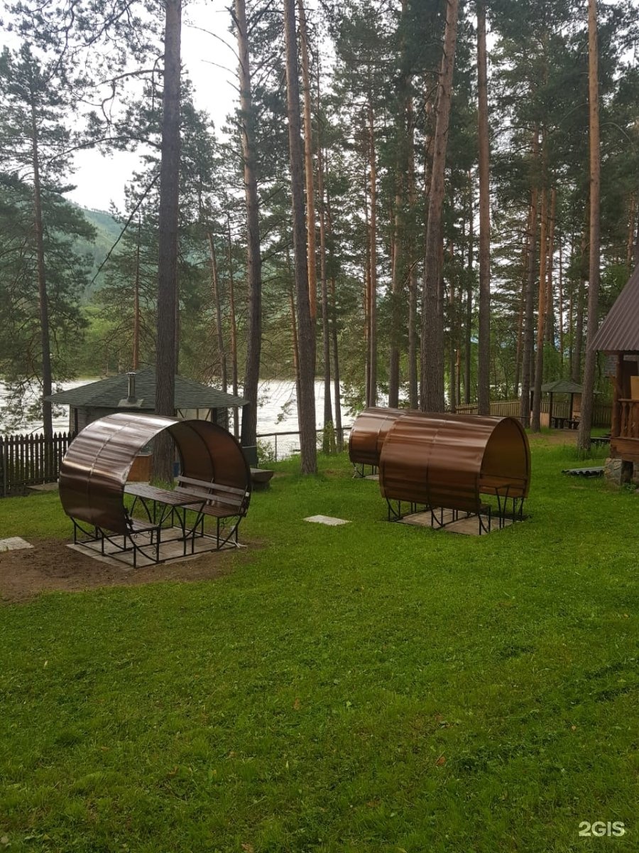 Сибиряки - фото 46