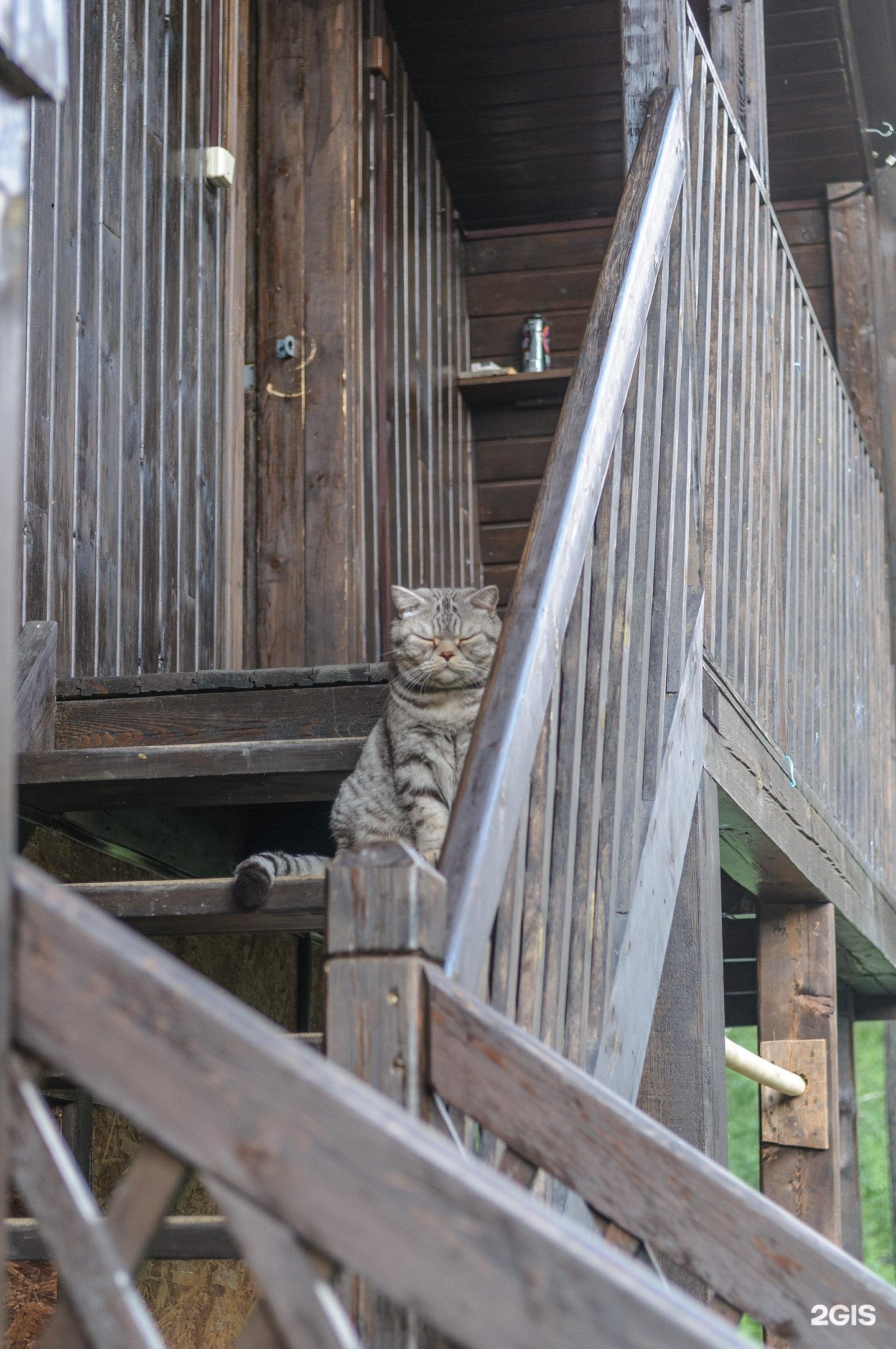 Сибиряки - фото 64