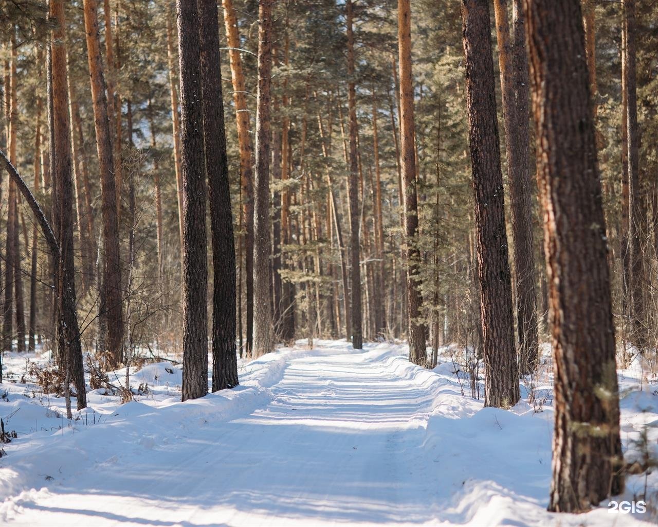 Таналтай - фото 33