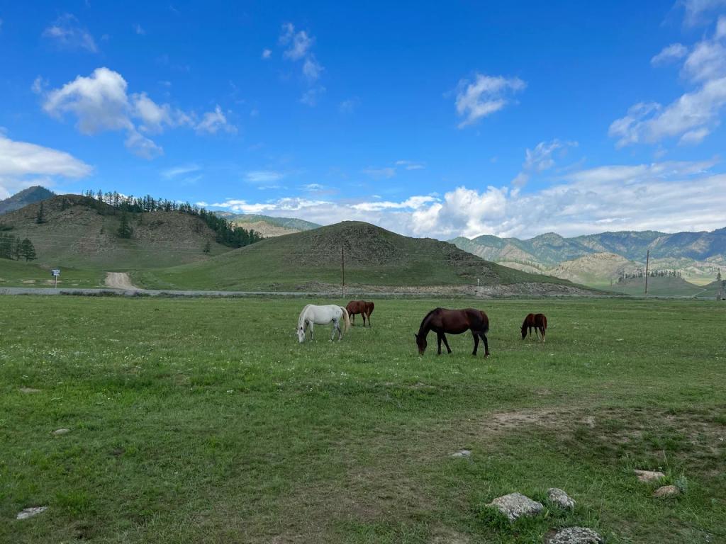 Гостиница "Уч-Энмек" - фото 5