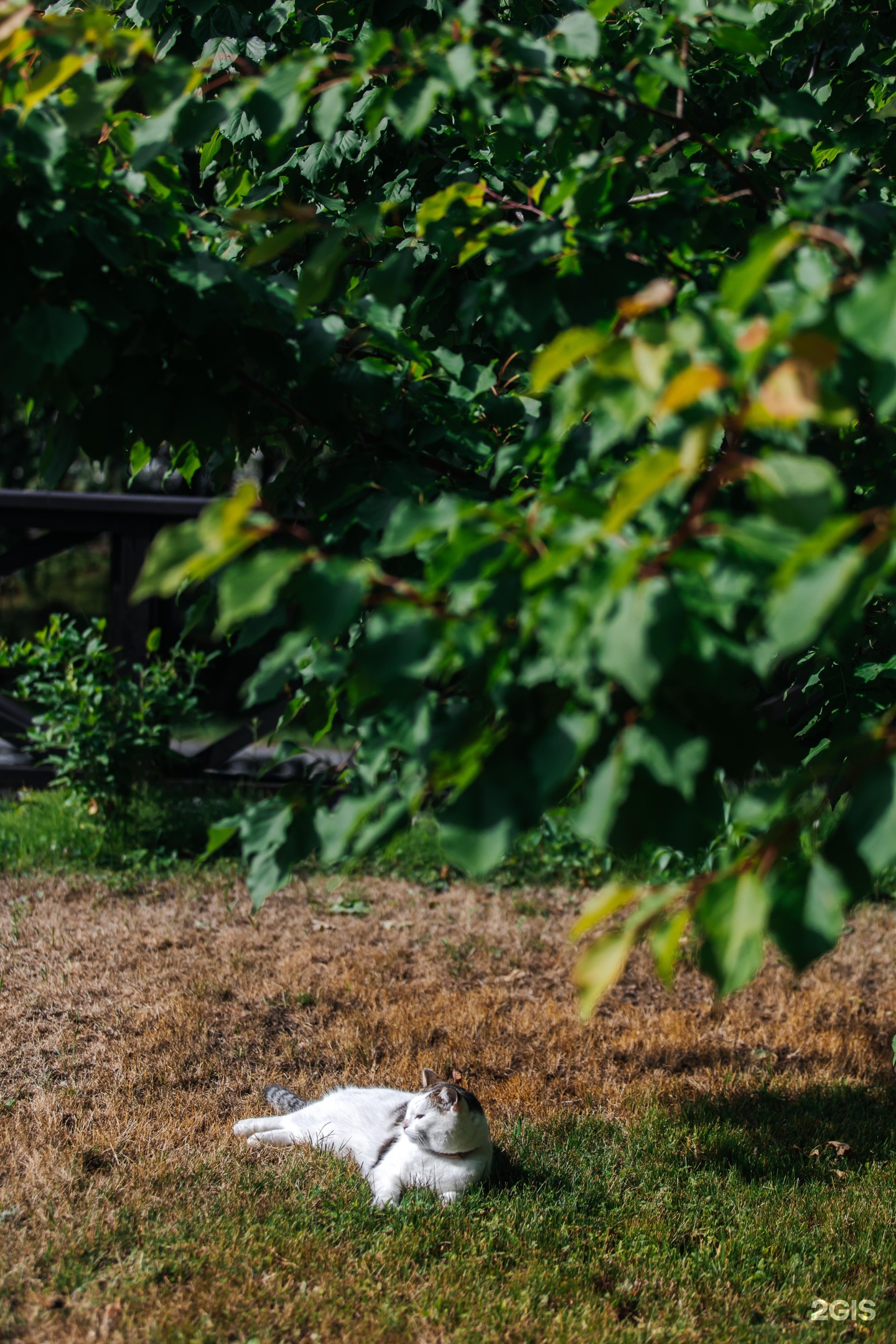 Марьин Остров - фото 40