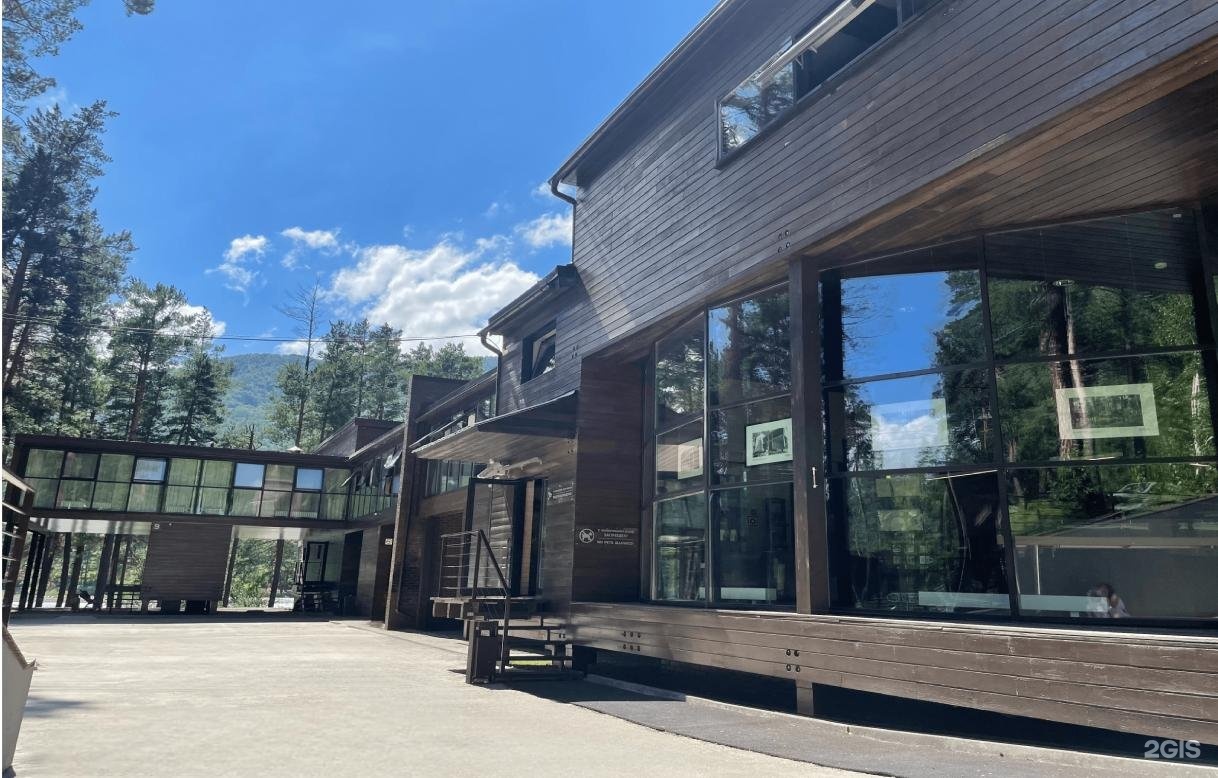 Алтика - фото 43