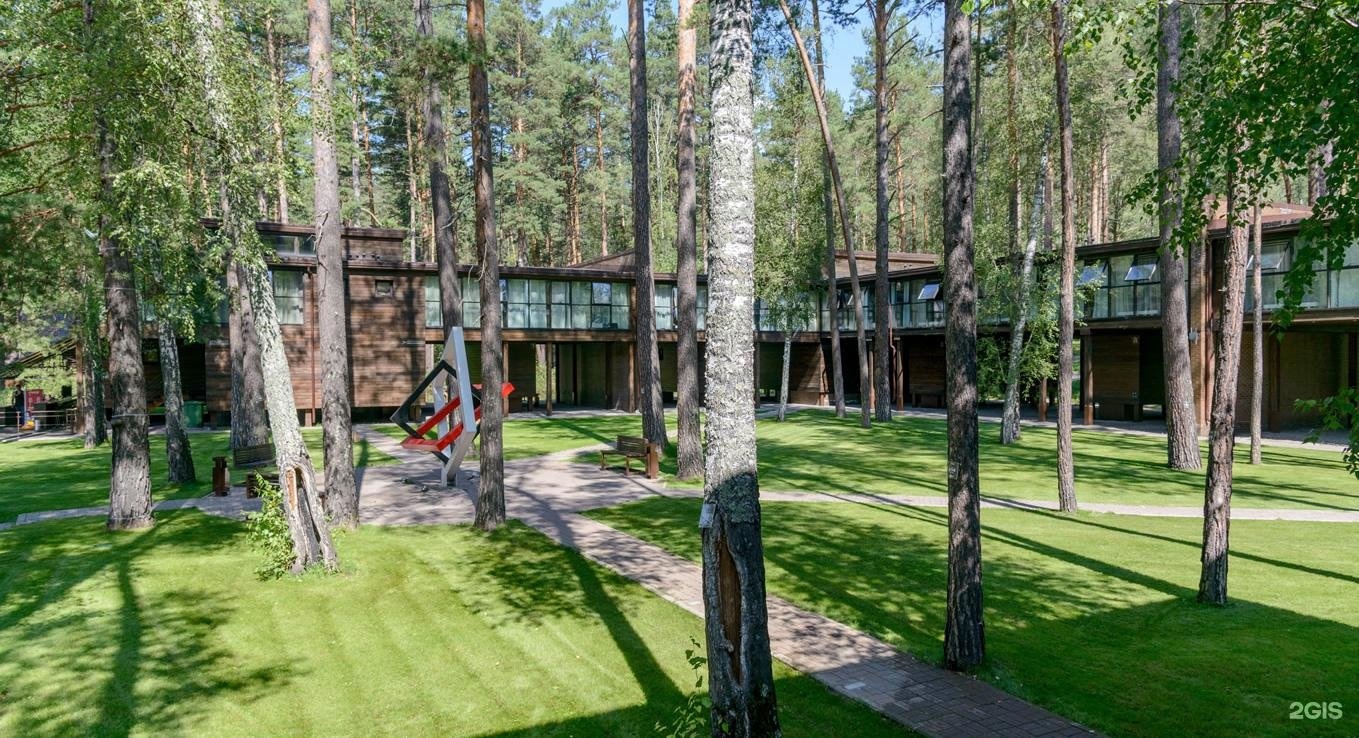 Алтика - фото 48