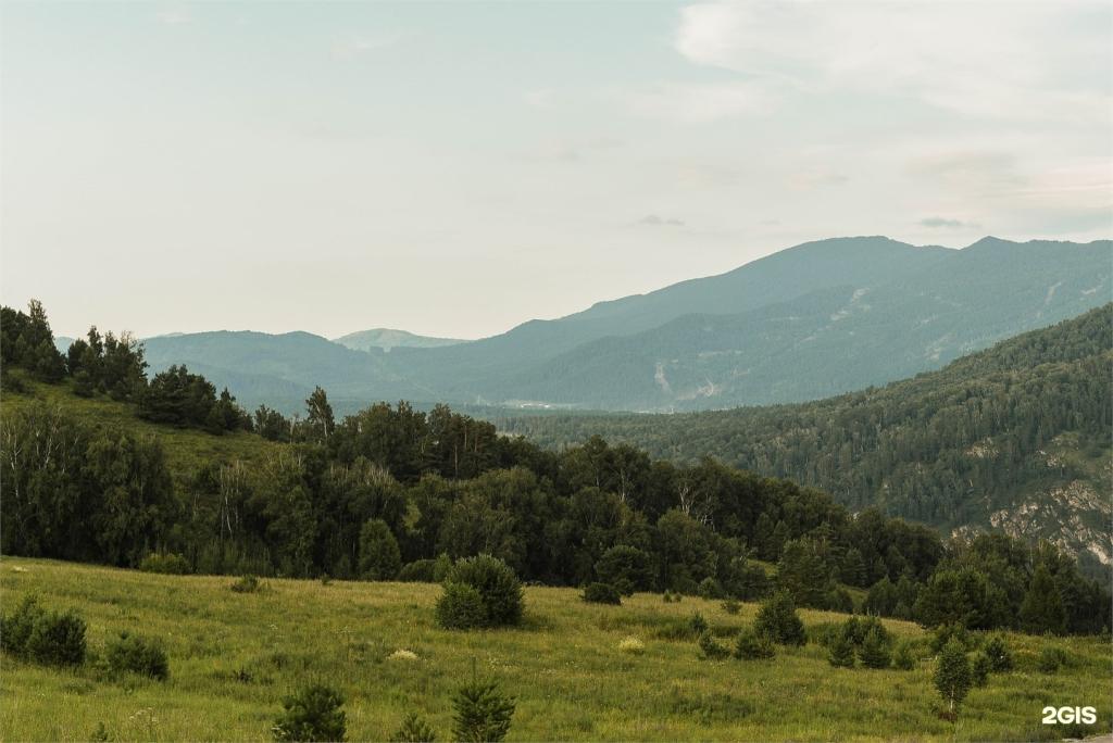 Красота - фото 7