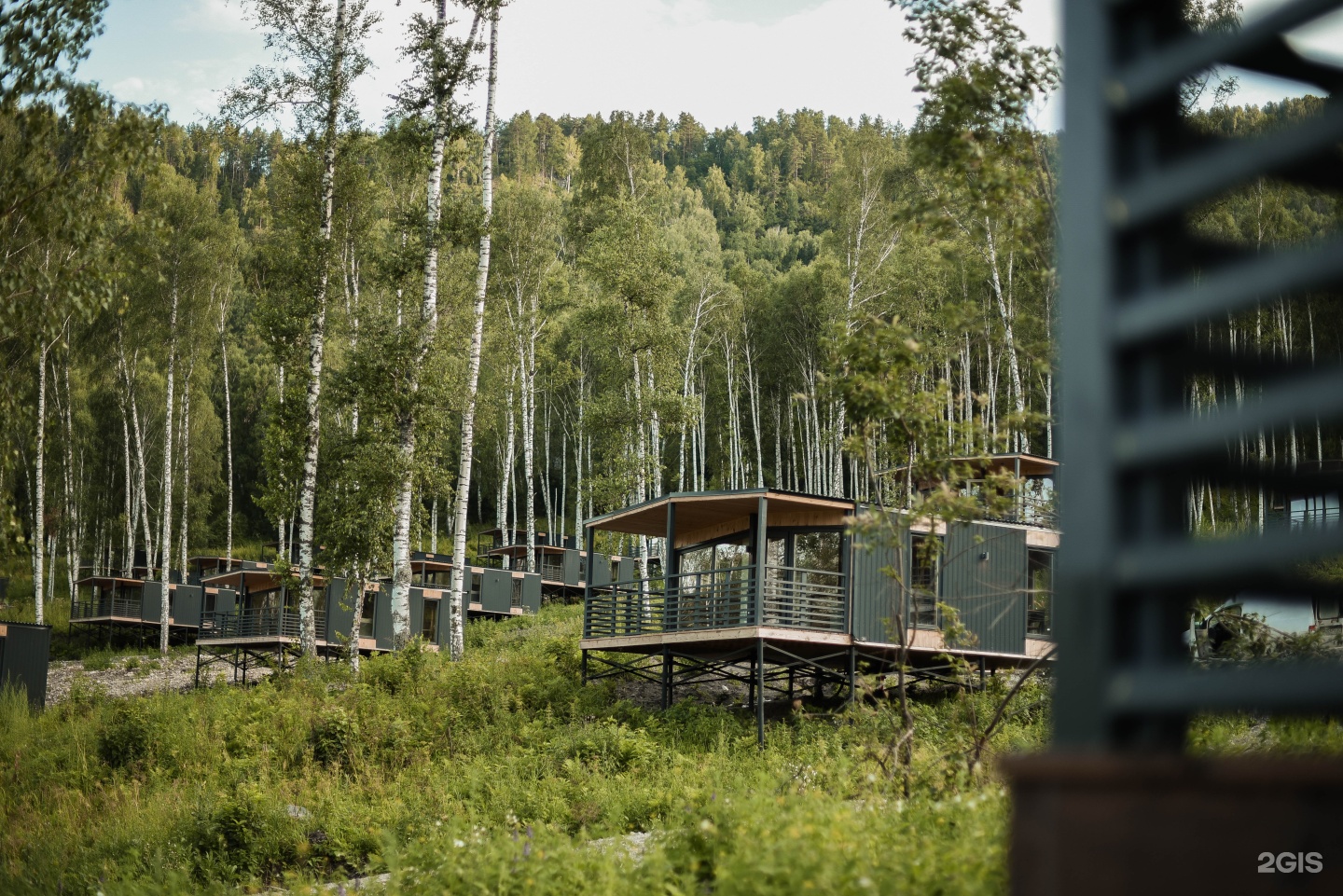 Красота - фото 13