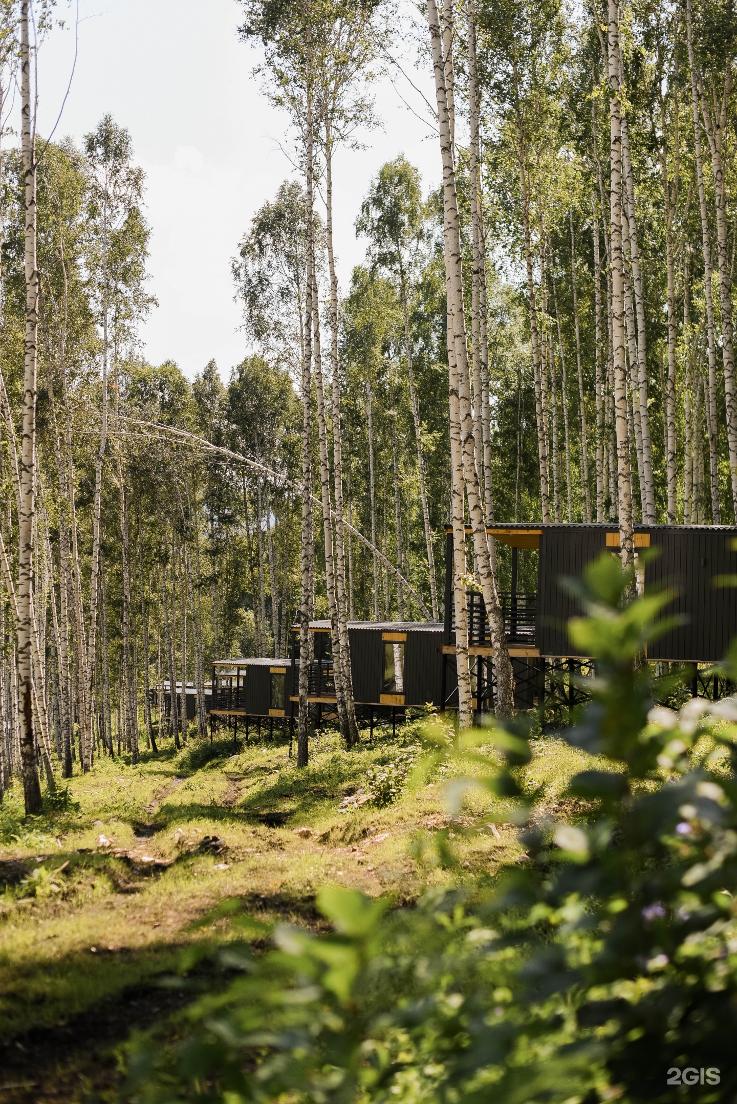 Красота - фото 14