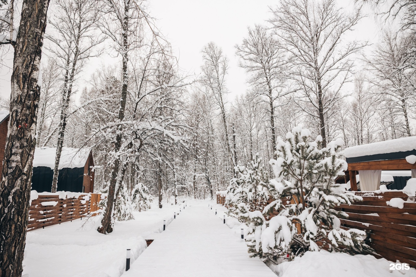 Айка - фото 32