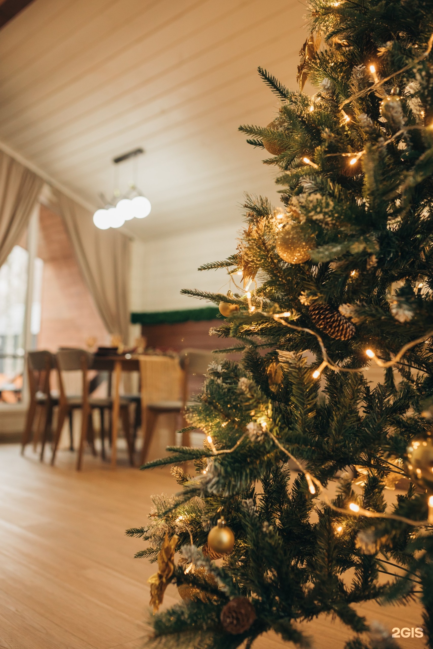 Айка - фото 34