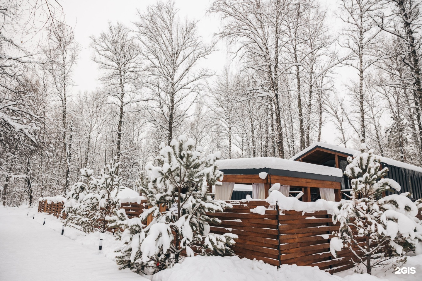 Айка - фото 46