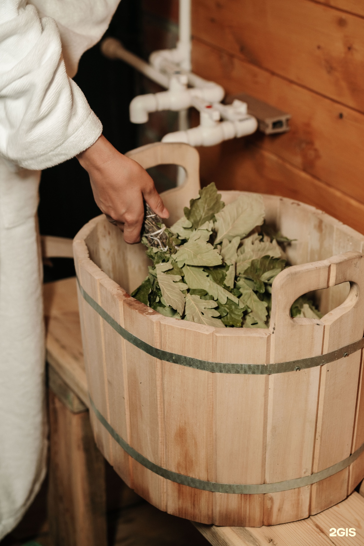 Айка - фото 73