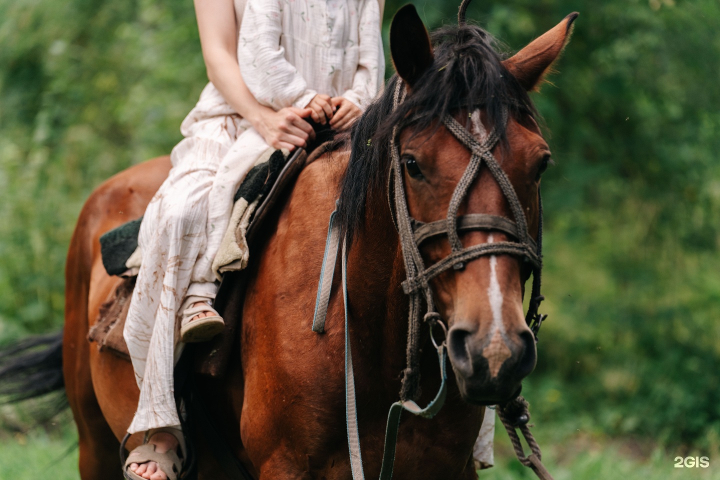 Айка - фото 84