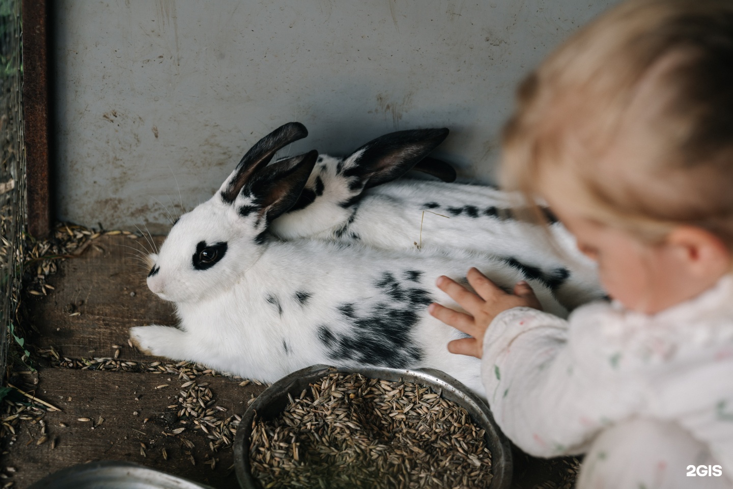 Айка - фото 94