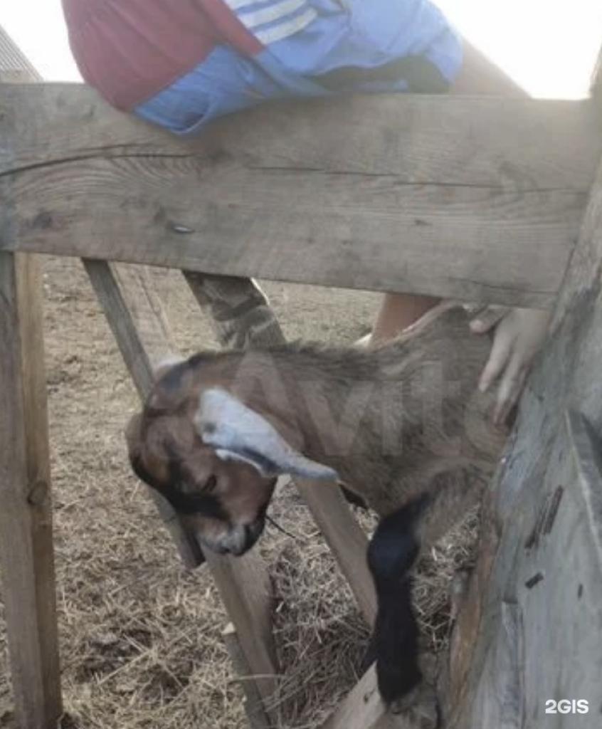 Апартаменты на ​5-км, трассы Ая-Алтайское, 1 с. Ая, Алтайский район, Алтайский край - фото 3