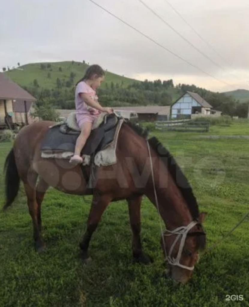 Апартаменты на ​5-км, трассы Ая-Алтайское, 1 с. Ая, Алтайский район, Алтайский край - фото 8