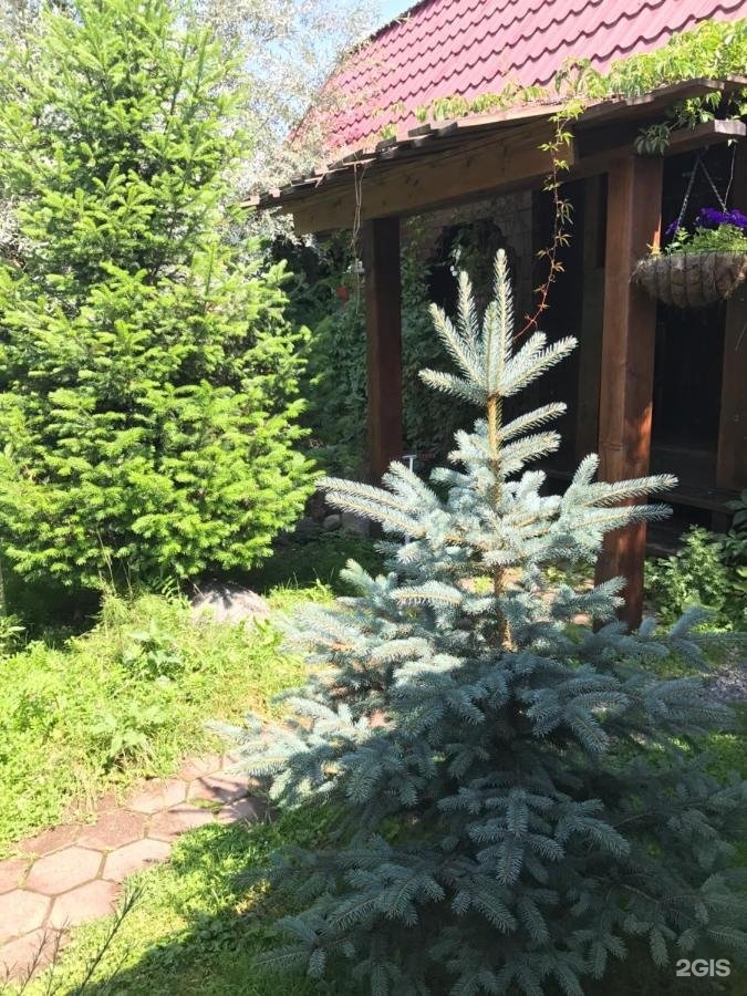 Lake house - фото 50