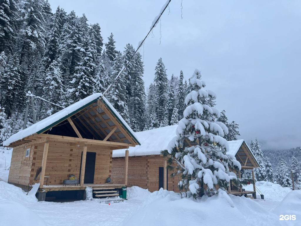 Еловый - фото 1