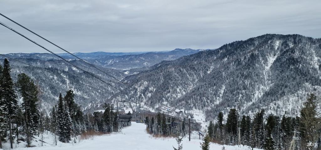 Еловый - фото 2