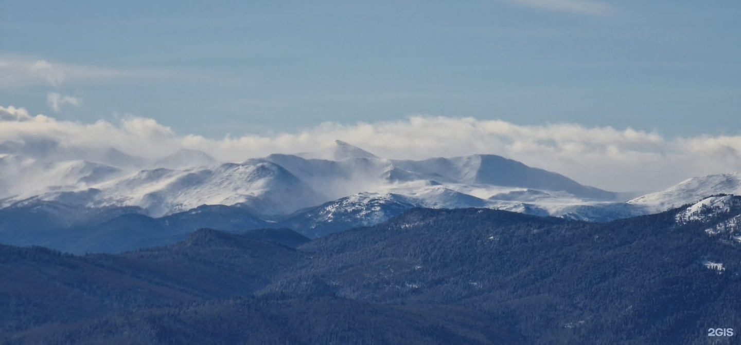 Еловый - фото 35