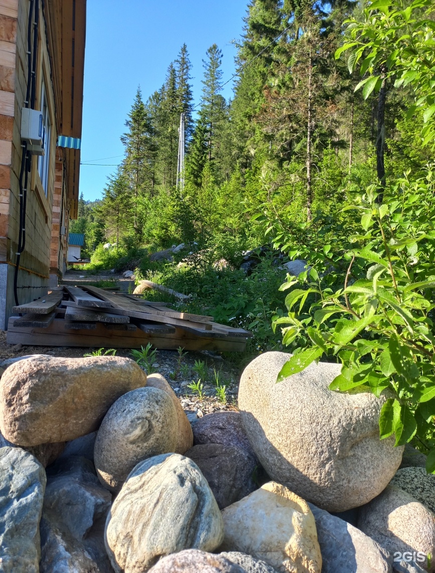 Еловый - фото 43