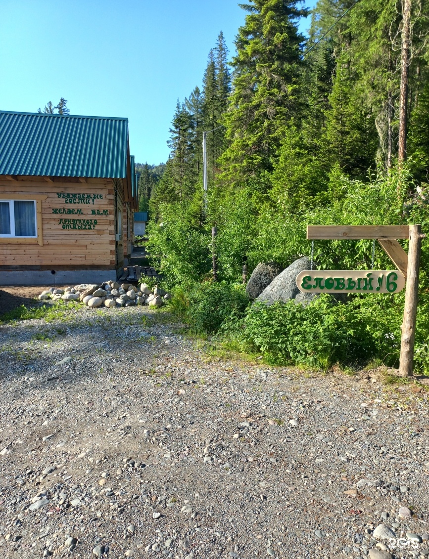 Еловый - фото 45