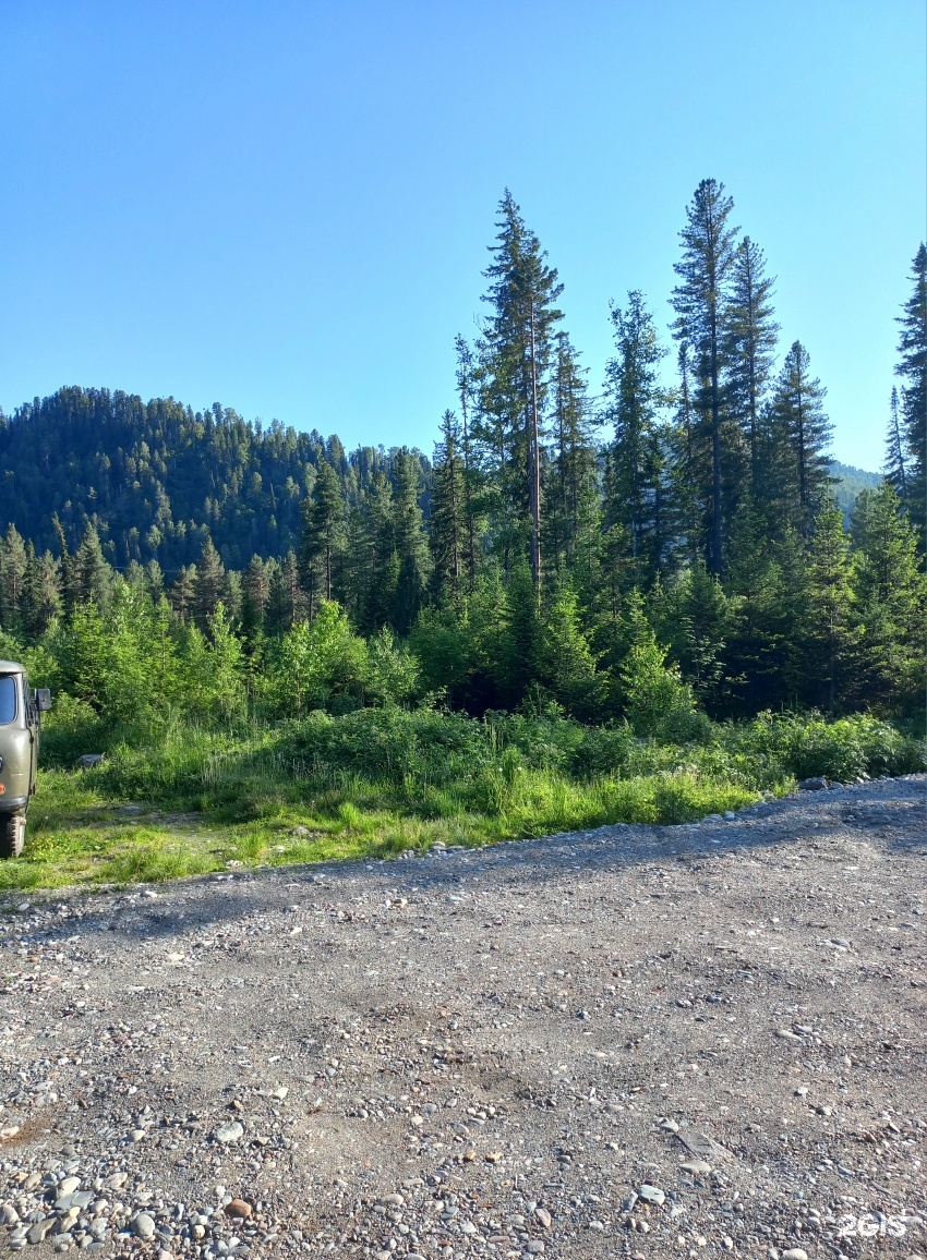 Еловый - фото 46
