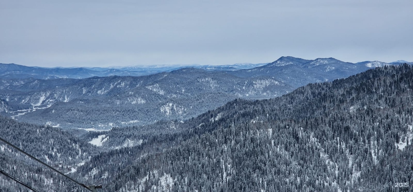 Еловый - фото 47
