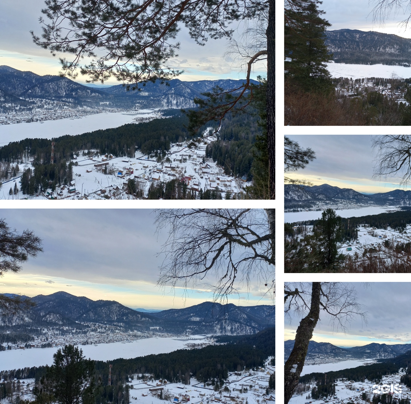 Еловый - фото 55