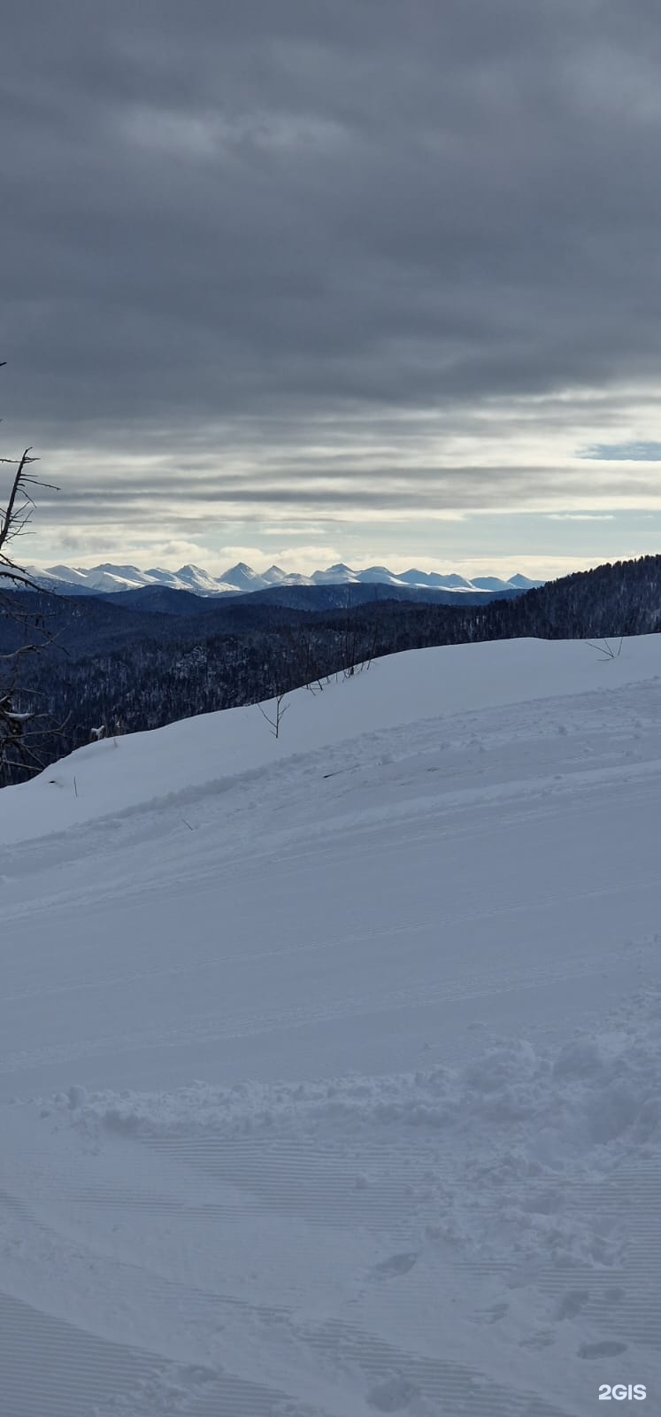 Еловый - фото 56