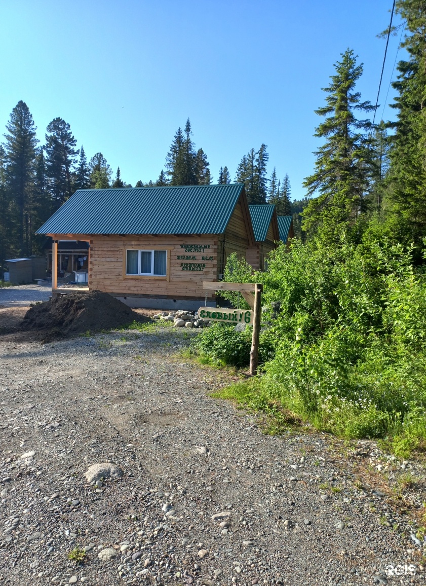 Еловый - фото 62