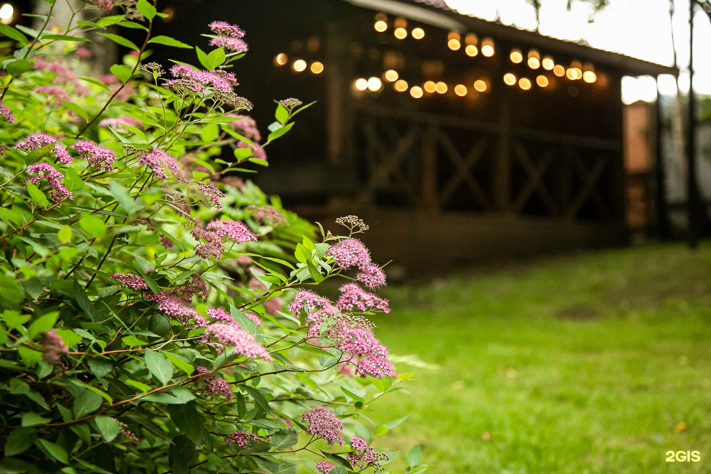 Комната - фото 1