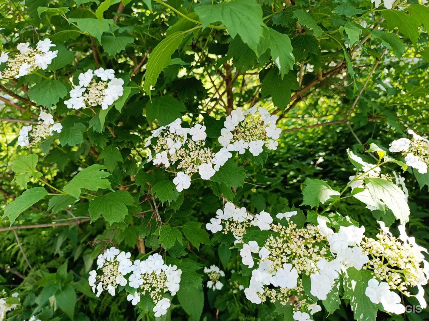 Апартаменты на Горная улица, 2 - фото 6