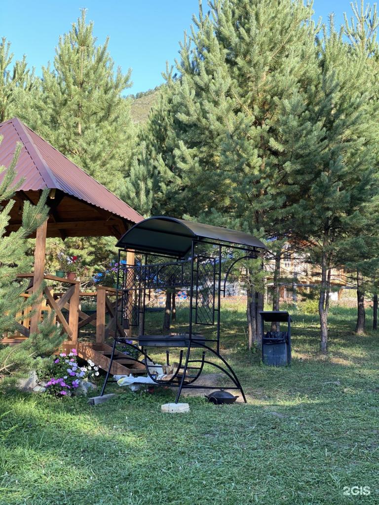 Шишкин Лес - фото 5