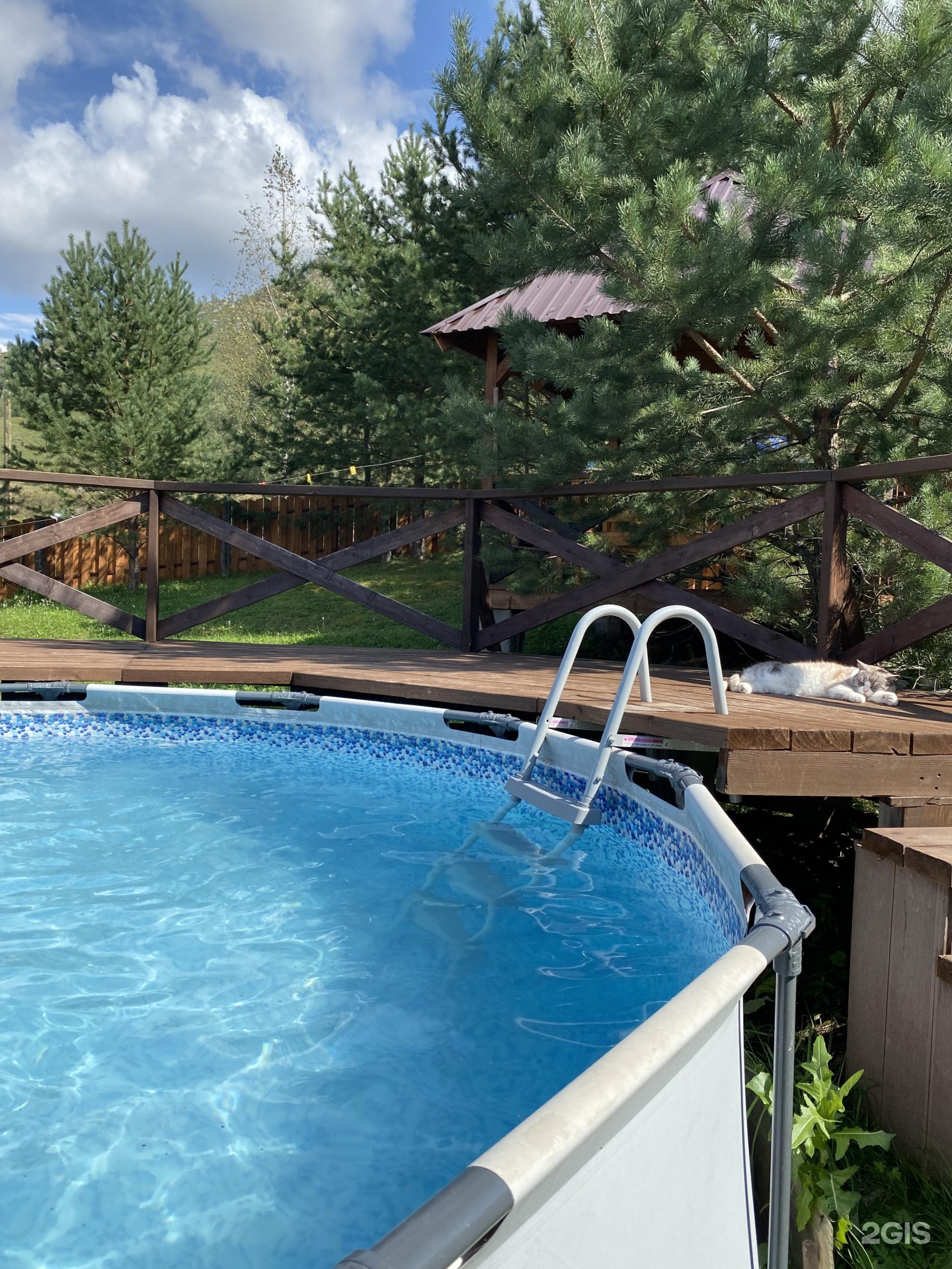 Шишкин Лес - фото 16