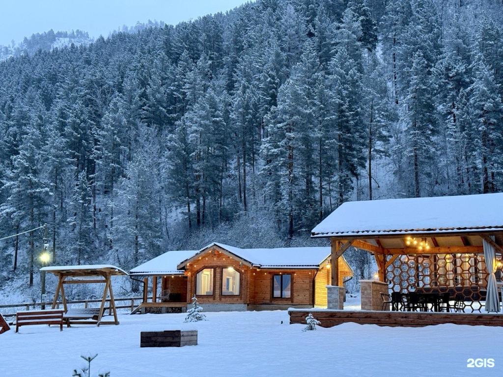 Корни - фото 1