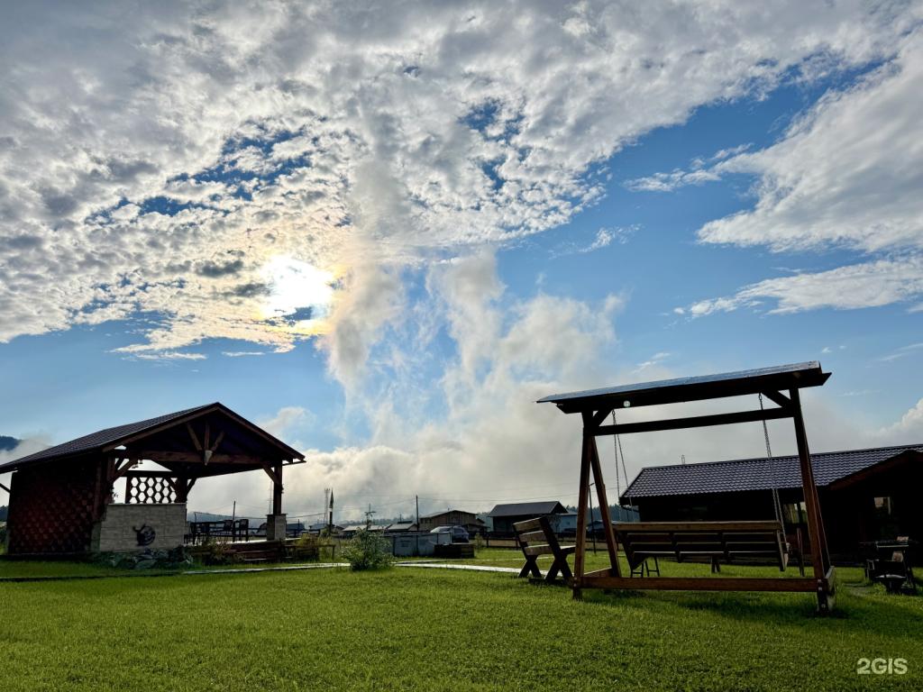 Корни - фото 4